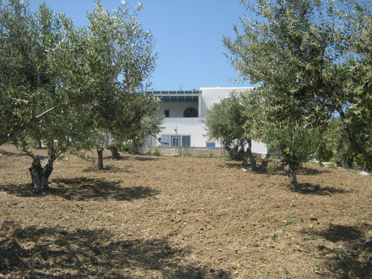 Kafkis House, Paros Βίλα Dhragoulas Εξωτερικό φωτογραφία
